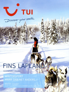 winters landschap met huskies